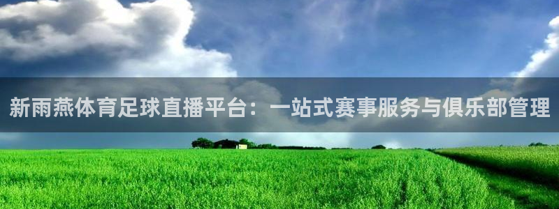 新雨燕体育足球直播平台：一站式赛事服务与俱乐部管理