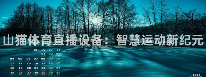 山猫体育直播设备：智慧运动新纪元