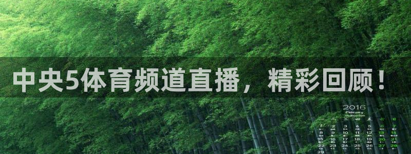 中央5体育频道直播，精彩回顾！