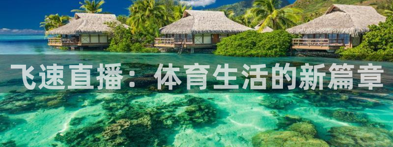 飞速直播：体育生活的新篇章