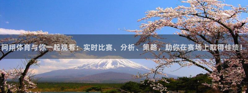 阿翔体育与你一起观看：实时比赛、分析、策略，助你在赛场上取得佳绩！