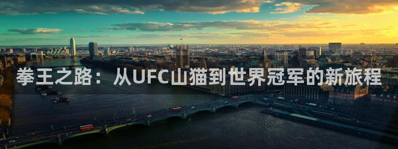 拳王之路：从UFC山猫到世界冠军的新旅程