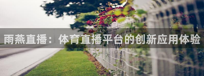 新闻图片